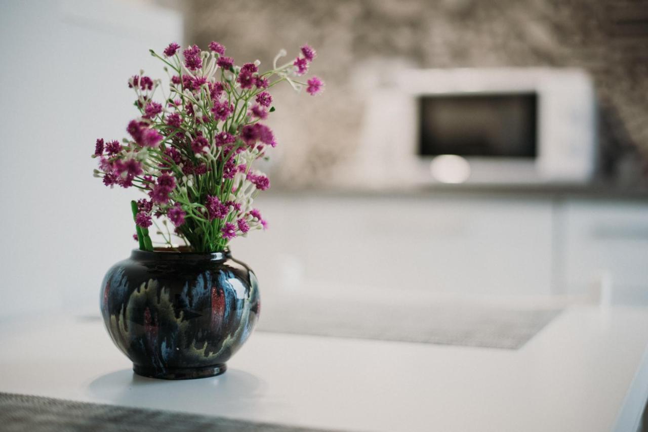 Modern Apartment Novi Sad Buitenkant foto
